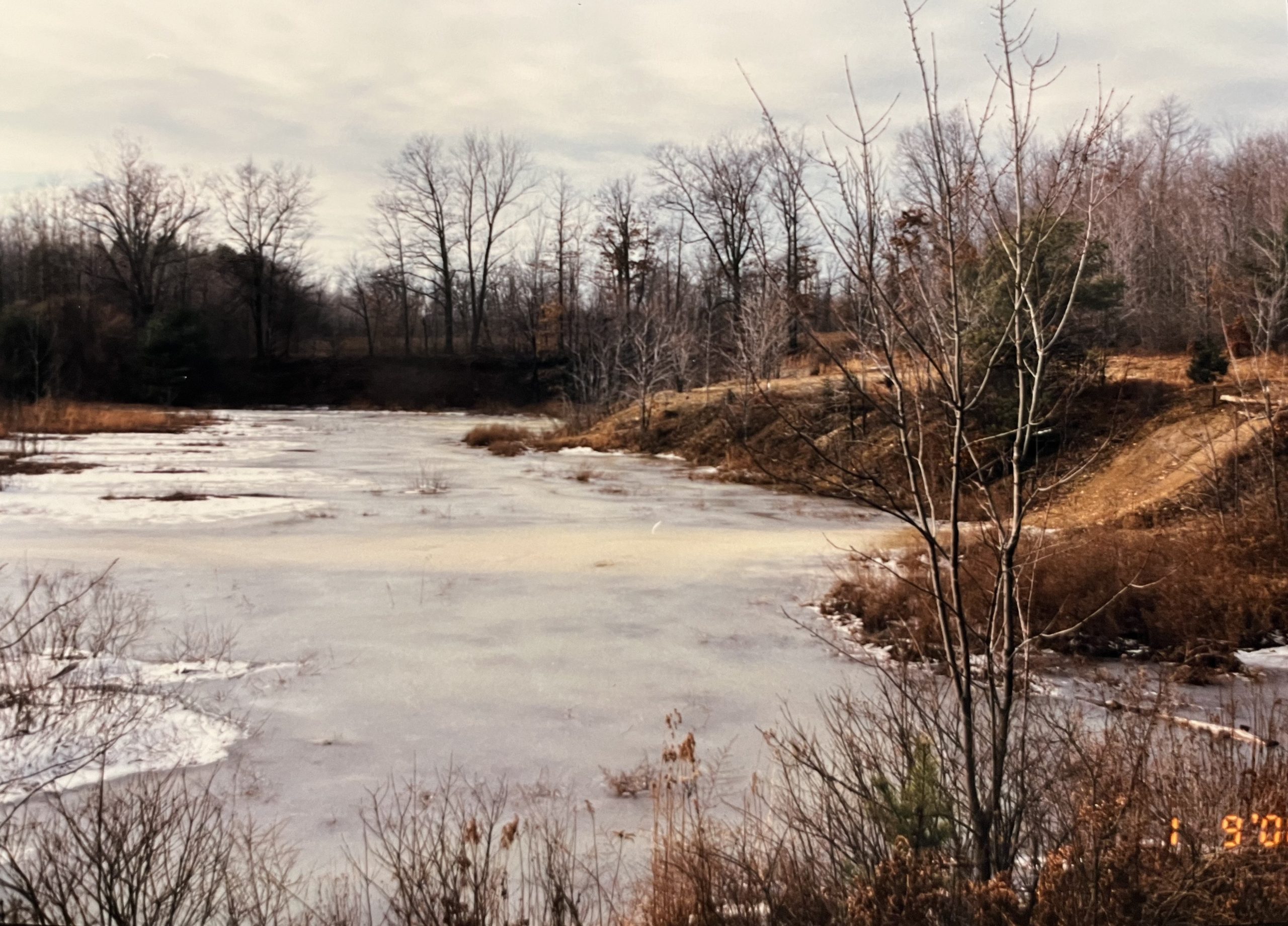 Jacoby Strip Mine, January 2000
